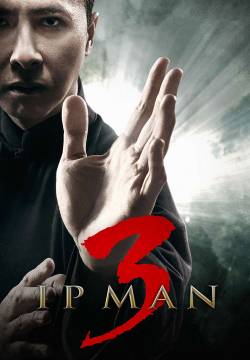 Ip Man 3 (2015)