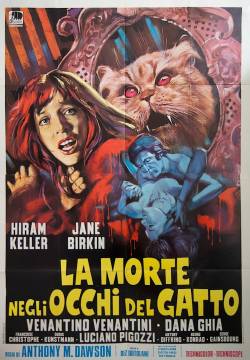 La morte negli occhi del gatto (1973)