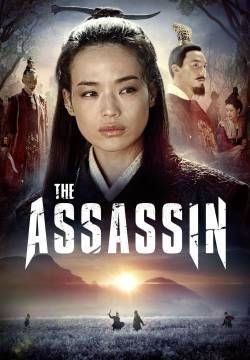 The Assassin (2015)