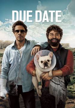 Due Date - Parto col folle (2010)