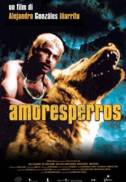 Amores perros (2000)