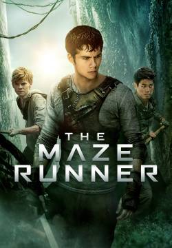 Maze Runner - Il labirinto (2014)